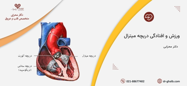 ورزش و افتادگی دریچه میترال
