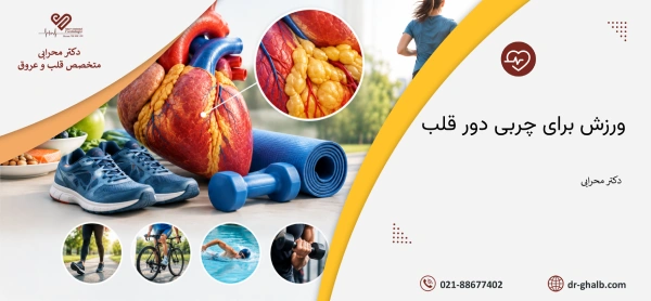 ورزش برای چربی دور قلب